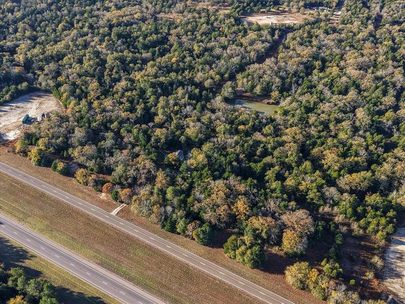 Natural landscape and outdoor views near  in Teague (Image 12).