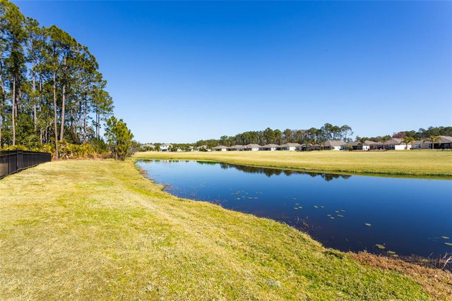 Natural landscape and outdoor views near in Bunnell (Image 30). Natural landscape and outdoor views near in Bunnell (Image 30).