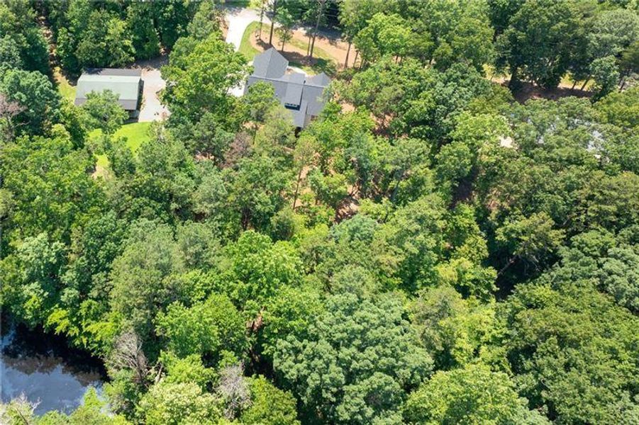 Natural landscape and outdoor views near  in Cartersville (Image 40).