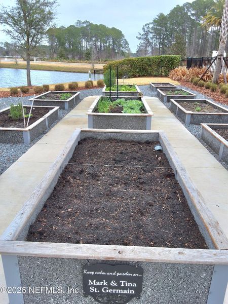 Site preparation for new homesites in , St. Augustine (Image 28). Site preparation for new homesites in , St. Augustine (Image 28).