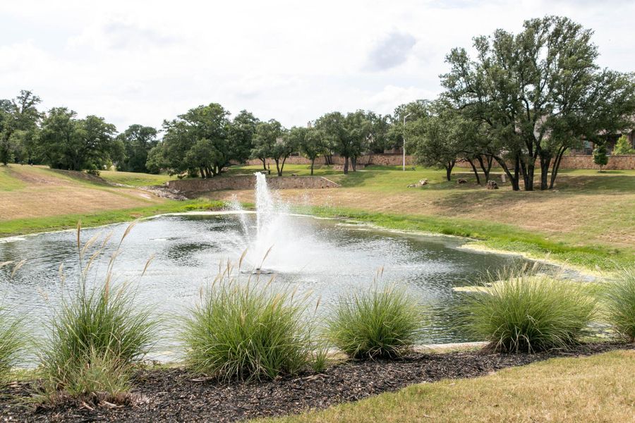 Natural landscape and outdoor views near Palmera Ridge in Leander (Image 6).