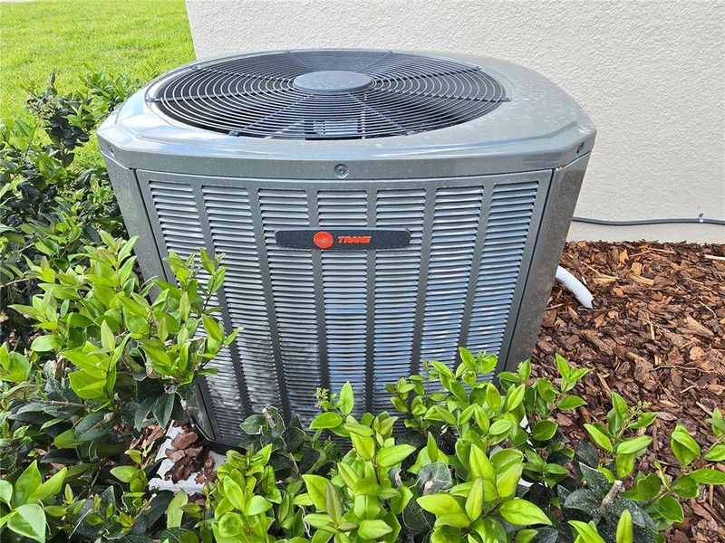Close-up of interior finishes inside a home in , Homosassa (Image 22).
