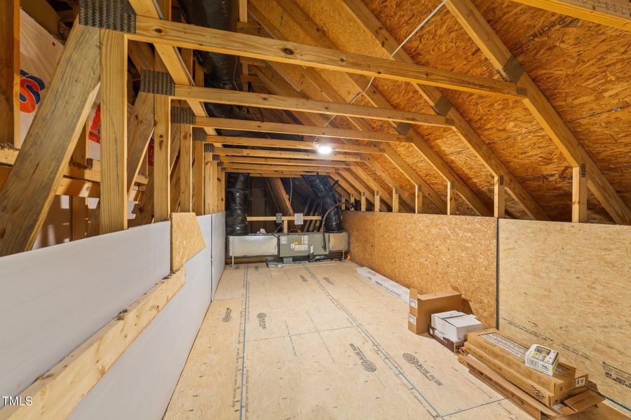 57-web-or-mls-VB4A5478