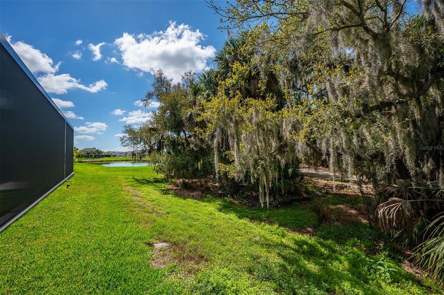 Natural landscape and outdoor views near  in Sarasota (Image 60).