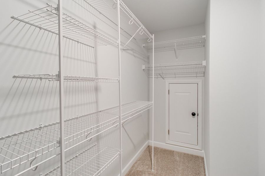 Spacious, unfurnished interior of a new home in Pebble Branch, Chapin (Image 36).