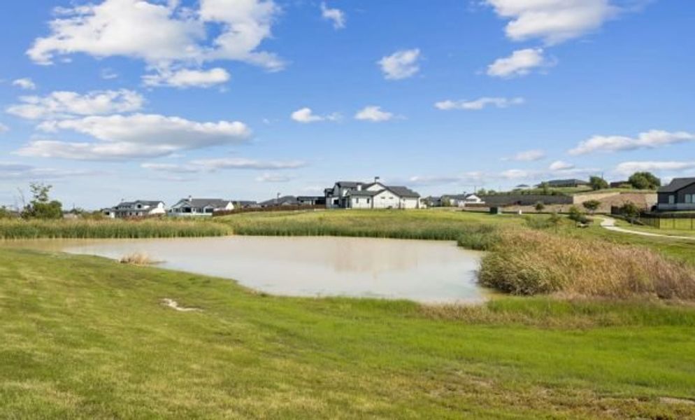 Natural landscape and outdoor views near The Vines in Haslet (Image 13).