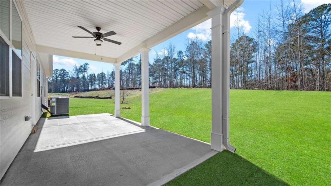 Exterior details and patio area of a home in Evergreen Crossing, Locust Grove (Image 19).