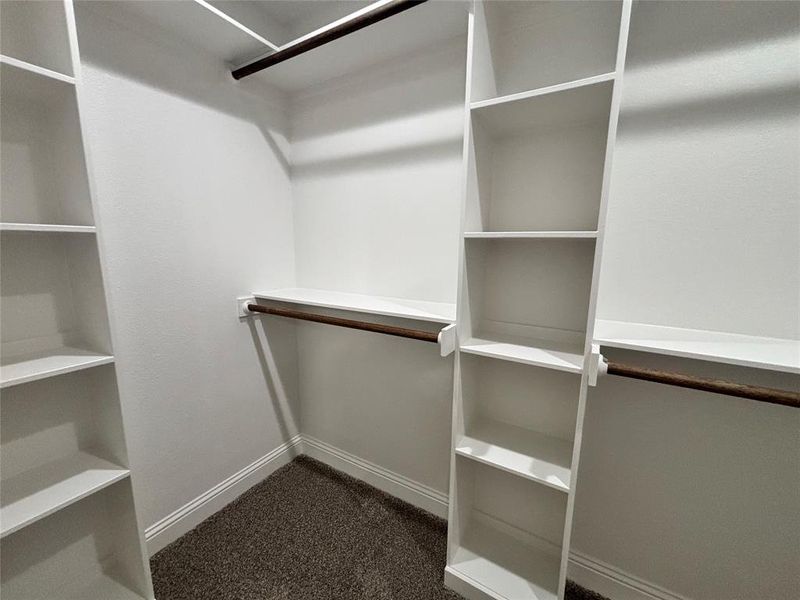 Walk in closet featuring dark colored carpet