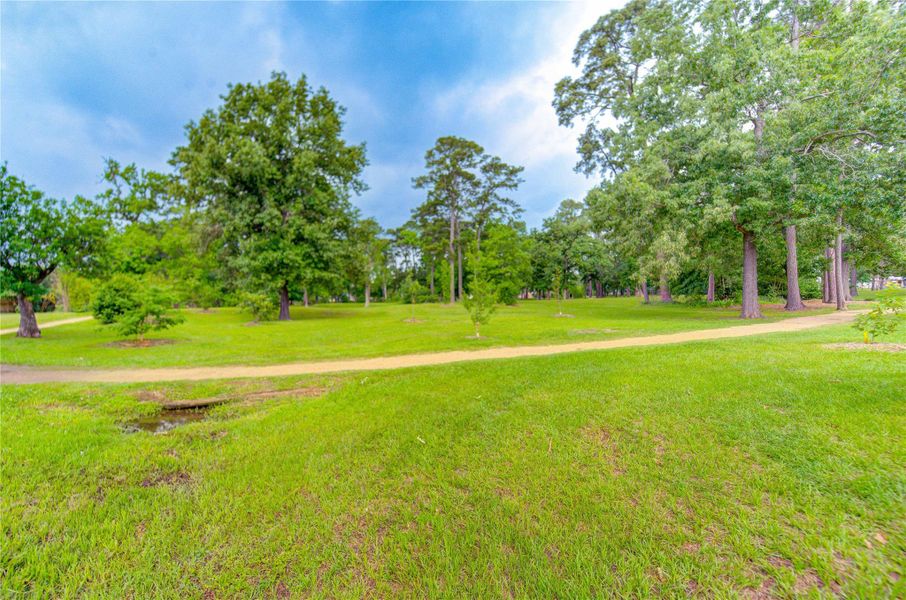 Shepherd Park walking trail.