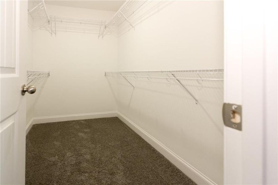 Walk in closet with carpet flooring