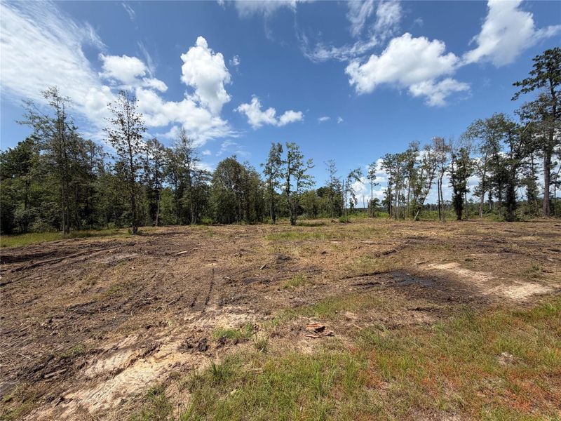 Site preparation for new homesites in , Kirbyville (Image 44). Site preparation for new homesites in , Kirbyville (Image 44).