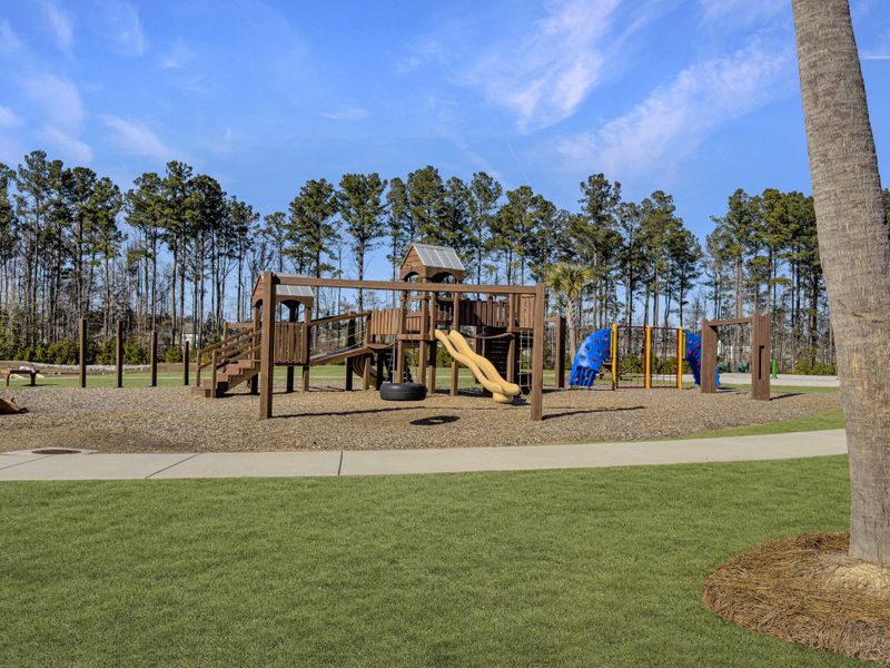 Community amenities in Pine Hills at Cane Bay, Summerville (Image 23). Community amenities in Pine Hills at Cane Bay, Summerville (Image 23).