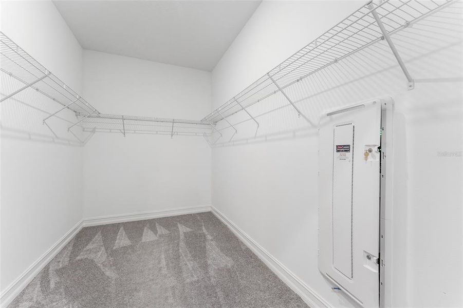 Spacious, unfurnished interior of a new home in , Lutz (Image 29).