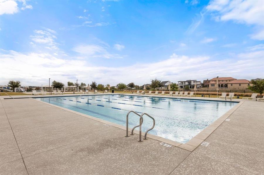 Lap Pool