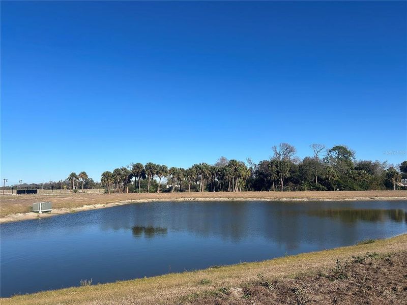 Natural landscape and outdoor views near Oakfield Trails in Parrish (Image 43).