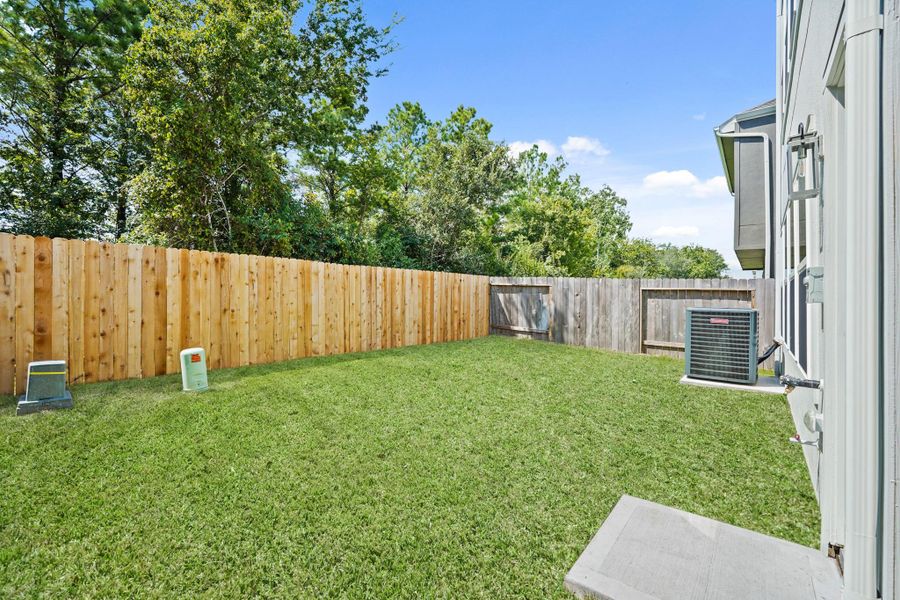 Peaceful backyard Peaceful backyard