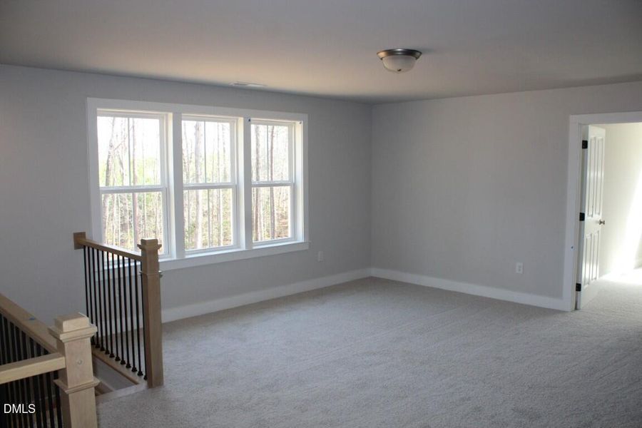 IMG_7446 (Medium) IMG_7446 (Medium)