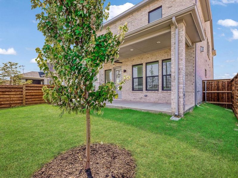 Front exterior of a new home in Royal Court, Little Elm, TX, highlighting curb appeal (Image 1).