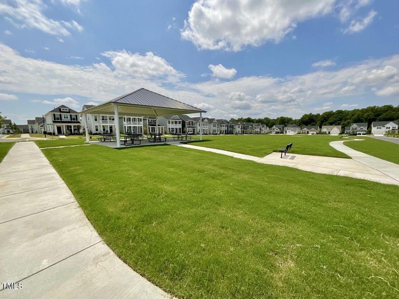 IMG_1105 Large IMG_1105 Large