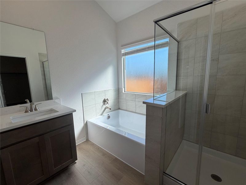 Bathroom with wood finished floors, a bath, a shower stall, and vanity