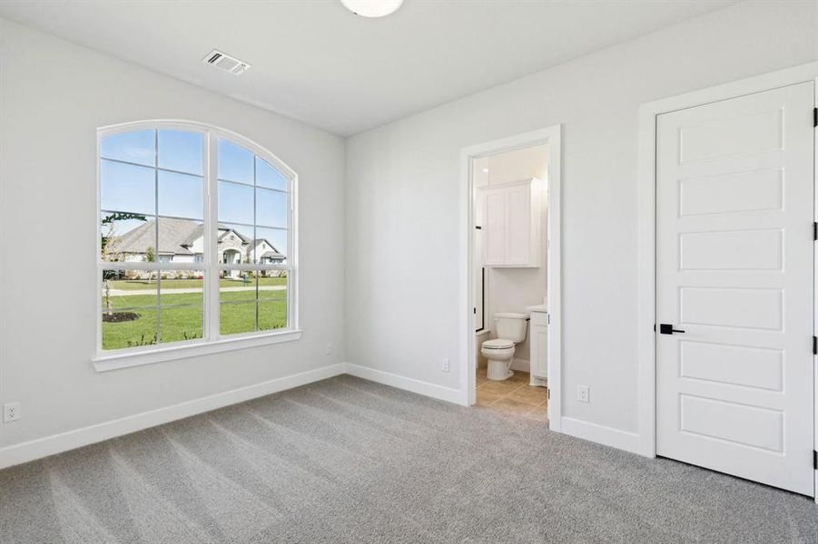 22-121Swan_022 22-121Swan_022