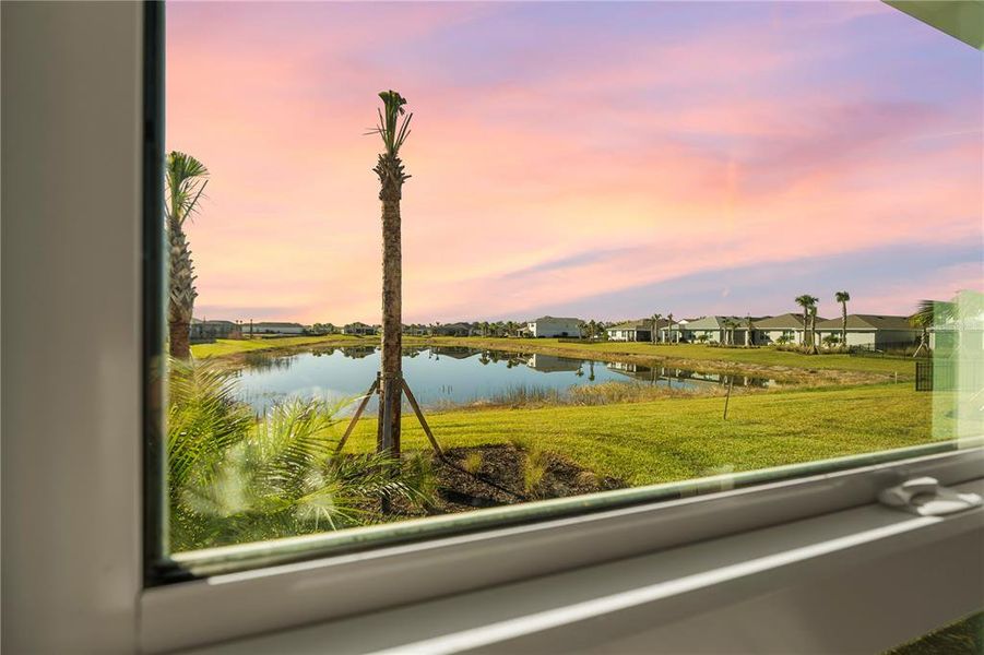Natural landscape and outdoor views near  in Punta Gorda (Image 59).