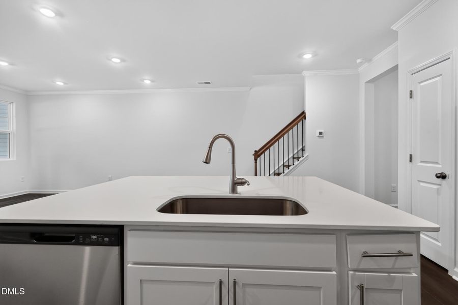 17_132_Tree_Moss_Ct-Kitchen-_118
