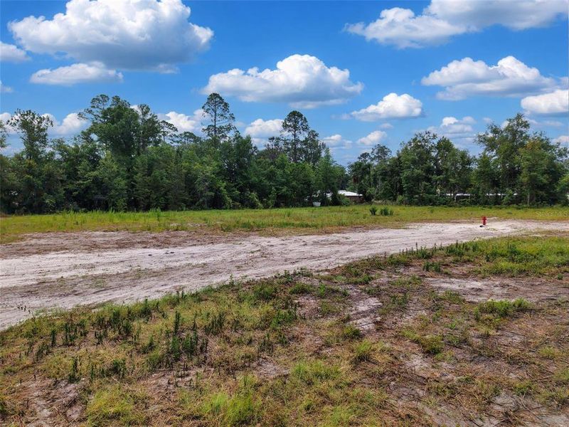 Site preparation for new homesites in , Jasper (Image 26).