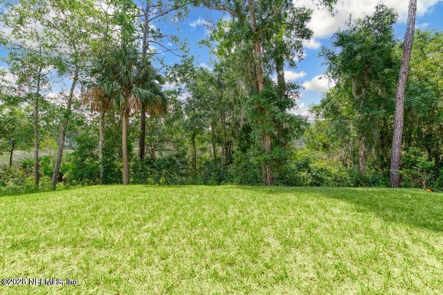 Natural landscape and outdoor views near in Yulee (Image 63). Natural landscape and outdoor views near in Yulee (Image 63).