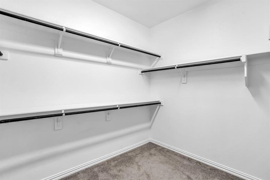Walk-in closet featuring white shelving with integrated hanging rods, white baseboards, and neutral-toned carpeting