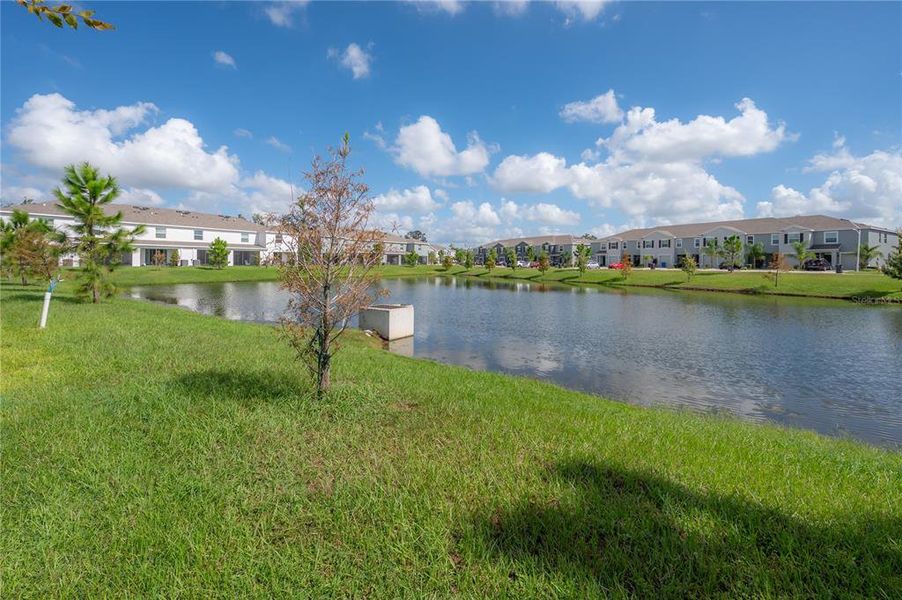 Natural landscape and outdoor views near  in Wimauma (Image 44).
