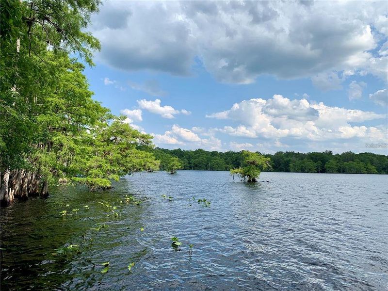 Natural landscape and outdoor views near in Eustis (Image 39). Natural landscape and outdoor views near in Eustis (Image 39).