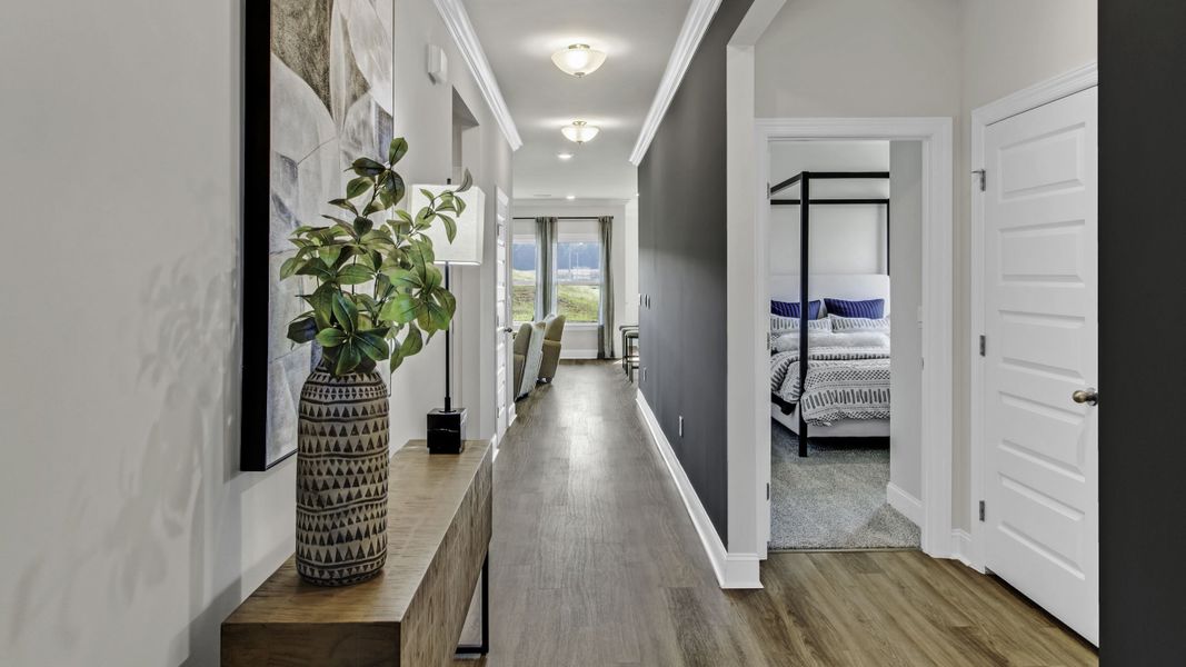 Furnished interior view inside a new home in Hedge Rose, Somerville (Image 4).