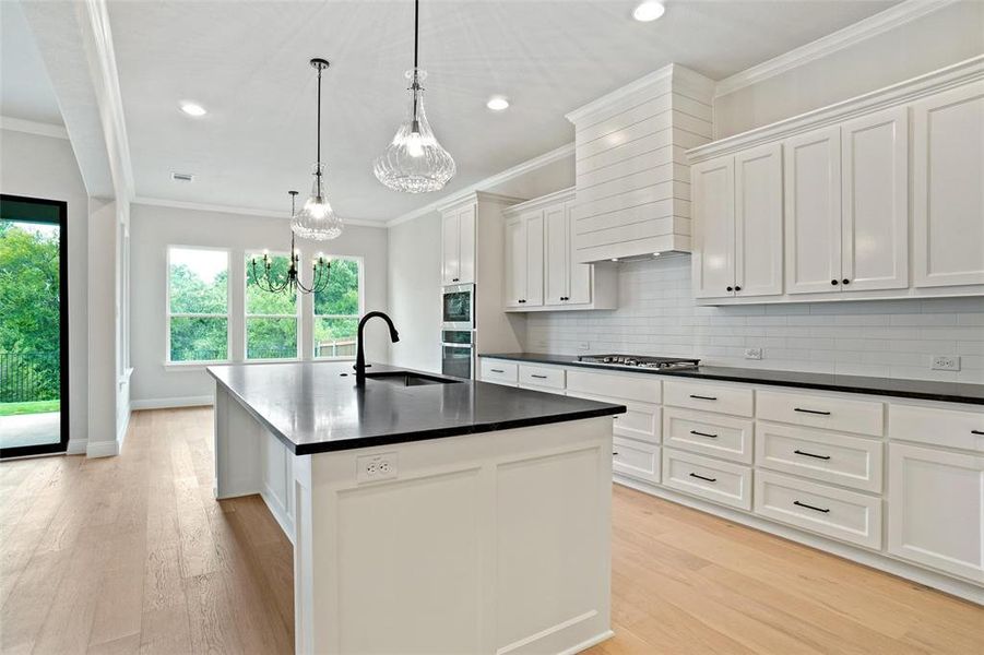 Kitchen with plenty of natural light, light hardwood / wood-style floors, sink, and an island with sink