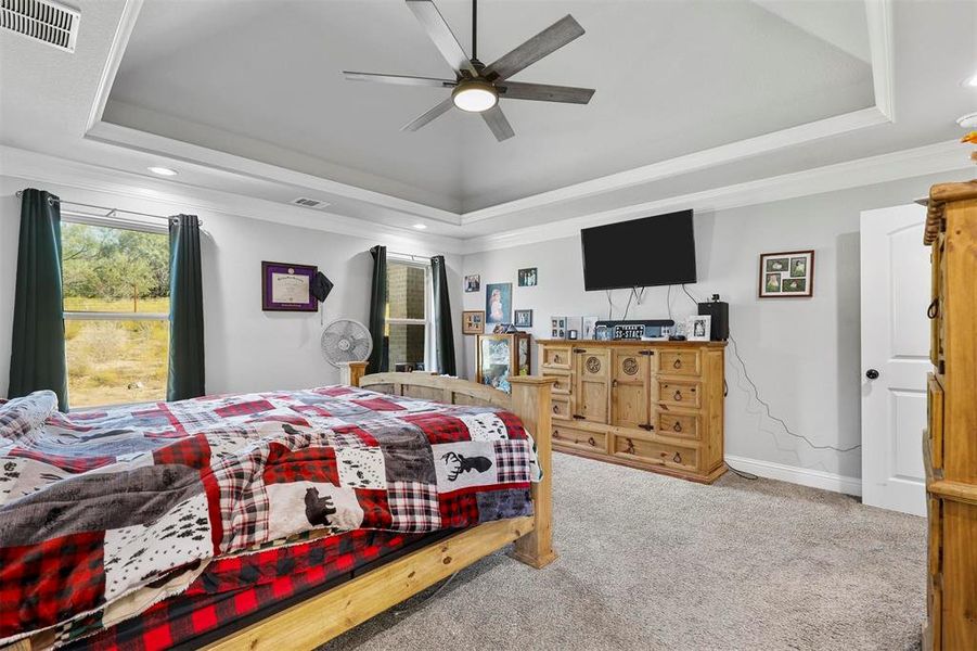 Bedroom featuring ornamental molding, ceiling fan, carpet flooring, and a raised ceiling