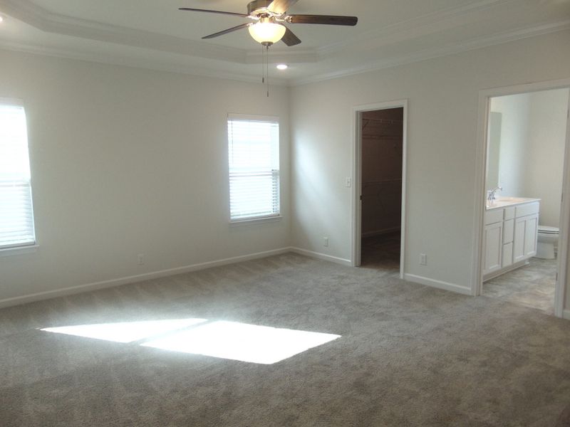 The primary bedroom is large and has perfectly detailed tray ceilings The primary bedroom is large and has perfectly detailed tray ceilings