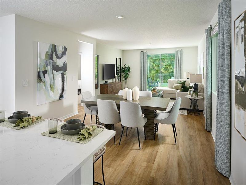 Furnished interior view inside a new home in Coasterra - Premier Series, Palmetto (Image 10).