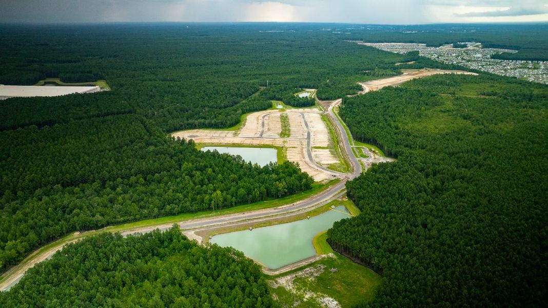 Image 7 representing the AZALEA by D.R. Horton in Sheep Island, Summerville, SC.