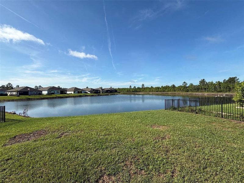 Natural landscape and outdoor views near  in Palm Coast (Image 52).
