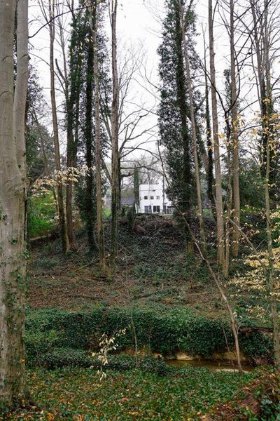 Natural landscape and outdoor views near  in Brookhaven (Image 6).