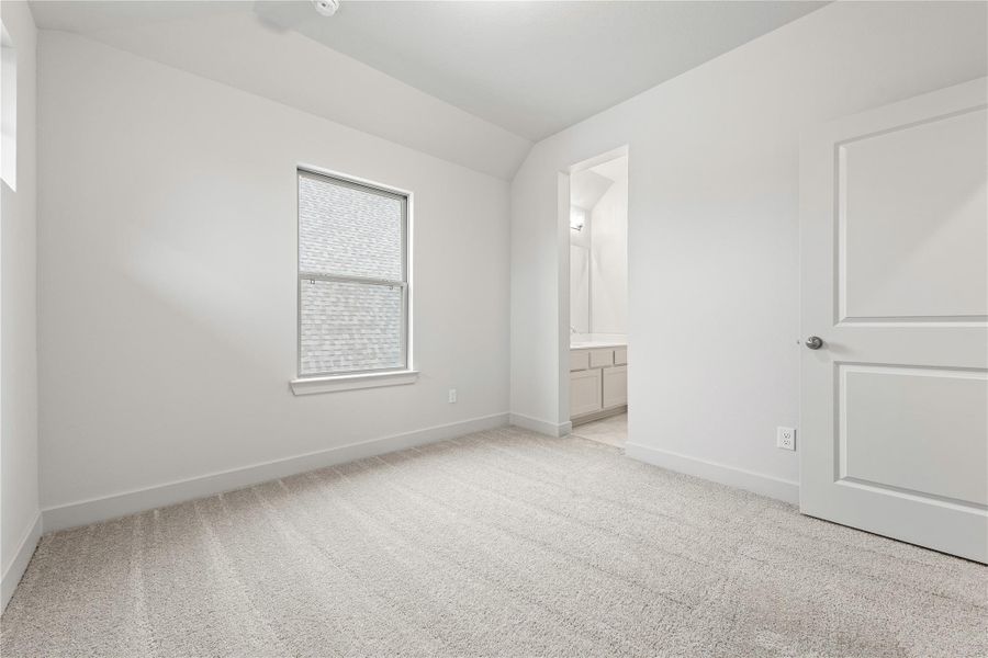 Representative image. Features, selections, and colors may vary.