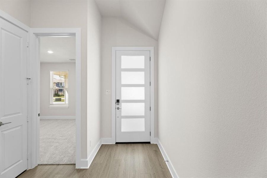 Discovery Collection at Painted Tree