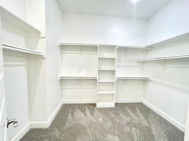 Walk in closet with carpet
