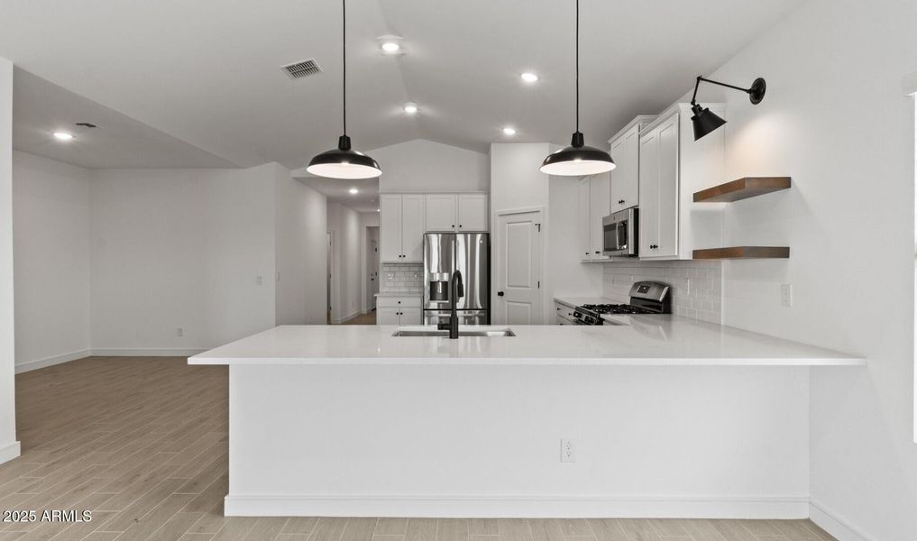 LS Lot #77 Kitchen (Large)