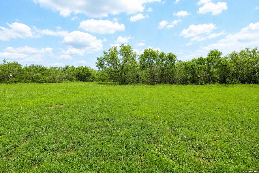 Natural landscape and outdoor views near  in Devine (Image 25).