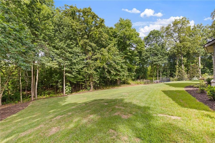 Natural landscape and outdoor views near  in Flowery Branch (Image 64).