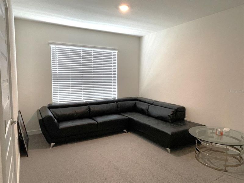 Upstairs Bonus/Loft Area with a storage closet