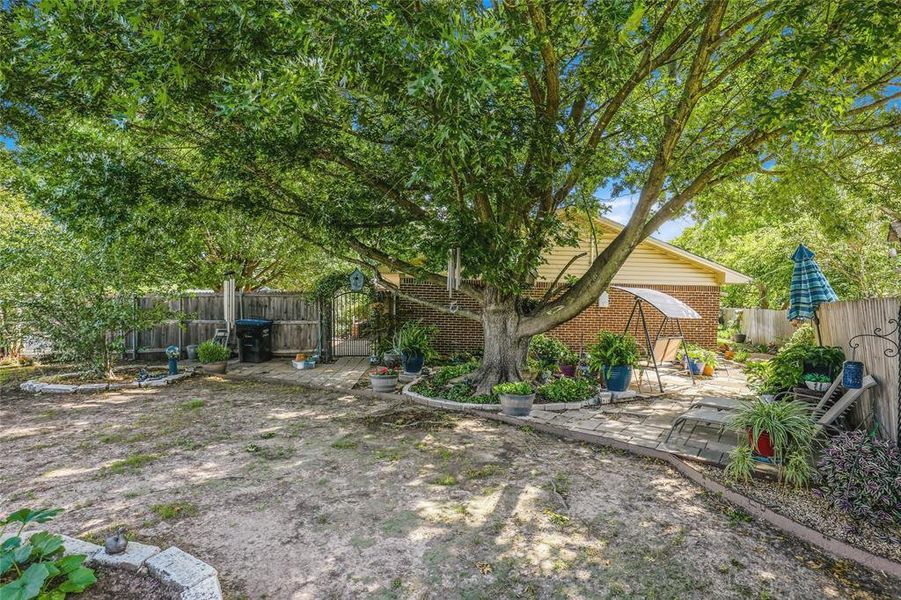 Expansive backyard featuring a mature shade tree, a stone patio area, and a brick exterior building Expansive backyard featuring a mature shade tree, a stone patio area, and a brick exterior building