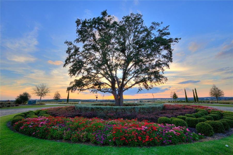 Natural landscape and outdoor views near in Montverde (Image 7). Natural landscape and outdoor views near in Montverde (Image 7).