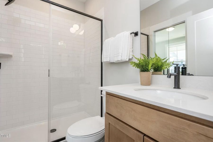 Model Representation